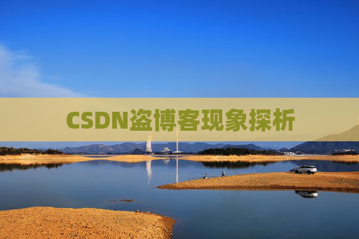 CSDN盗博客现象探析